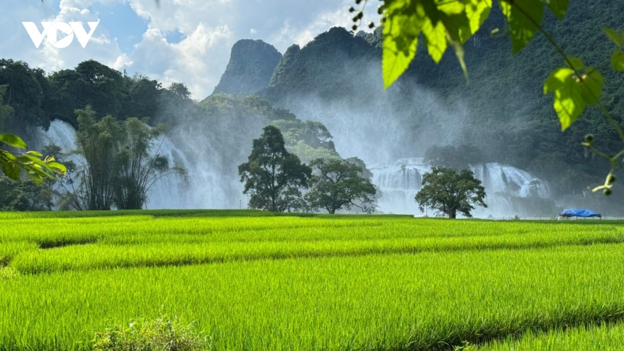 Discovering Ban Gioc waterfall - one of the most beautiful worldwide